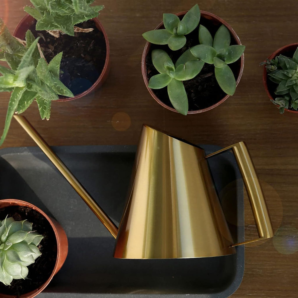 Gold Watering Can 1500ml Stainless Steel Cans Indoor Plants | Long Spout Water Can for Potted Plants, Hanging Plants