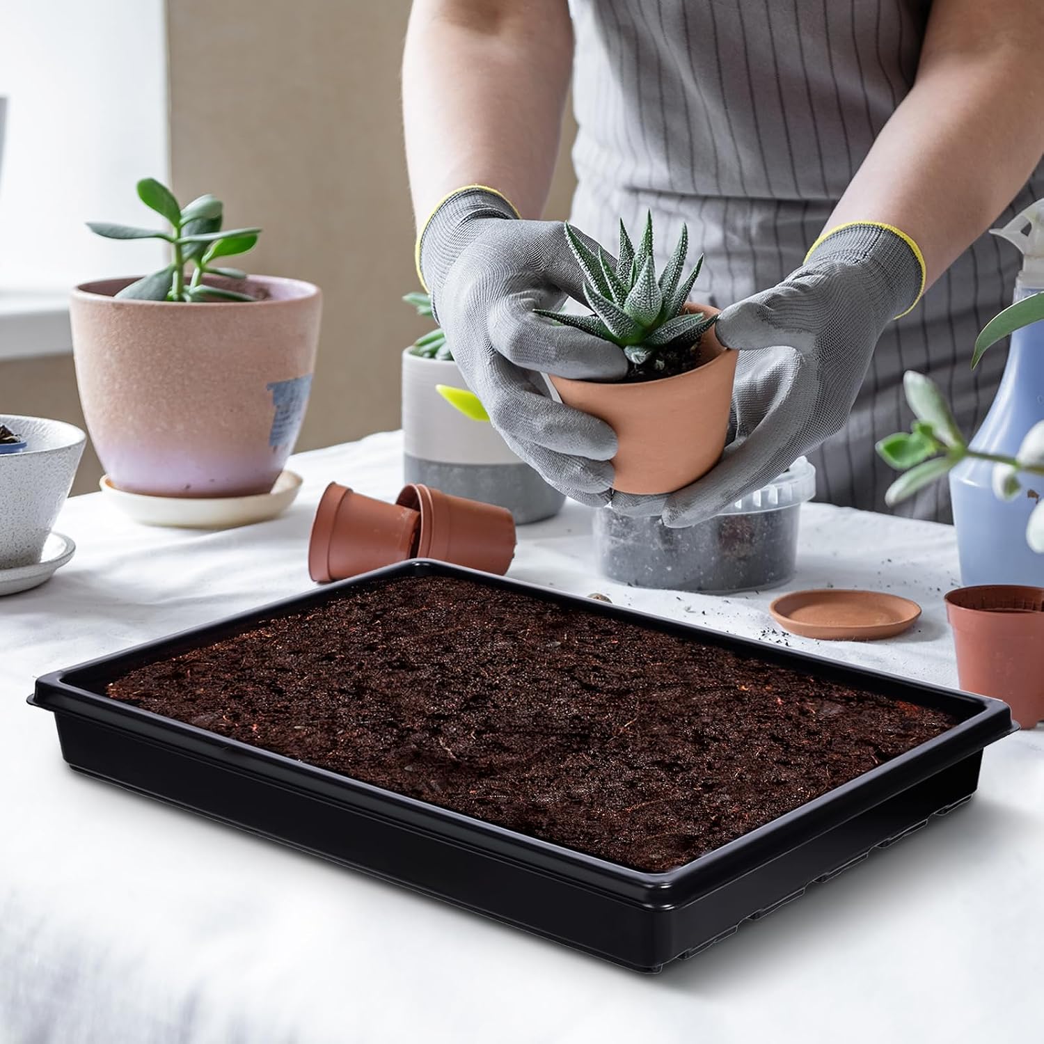 mwellewm 10 Pcs Seed Starter Tray Kit 1014 Seed Starting Trays Square Seedling Plant Tray Planting Sturdy Microgreens