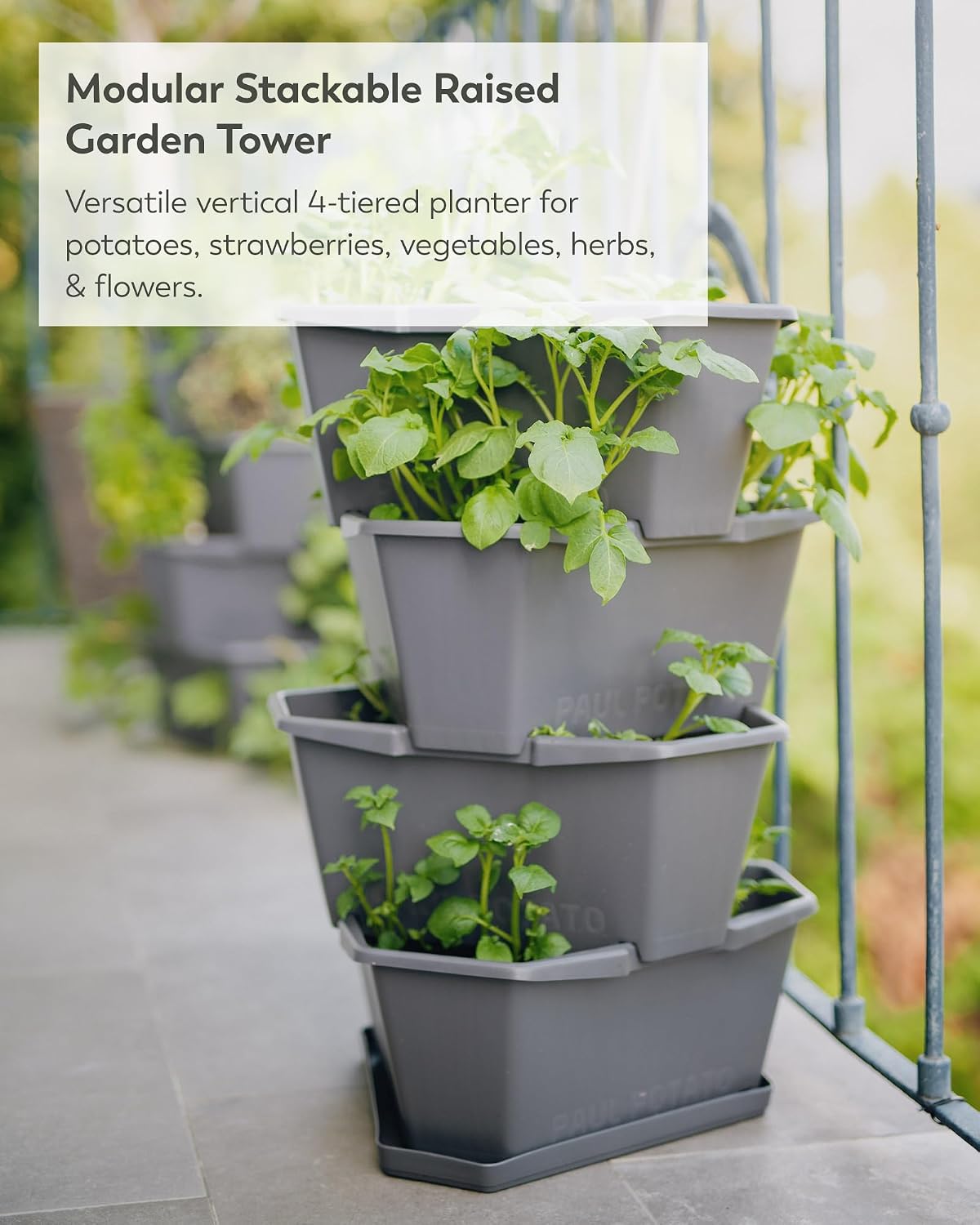 BUZZY Seeds Starter Stackable Vertical Planter – 4-Level Raised Garden Tower for Potatoes, Strawberries, Vegetables &