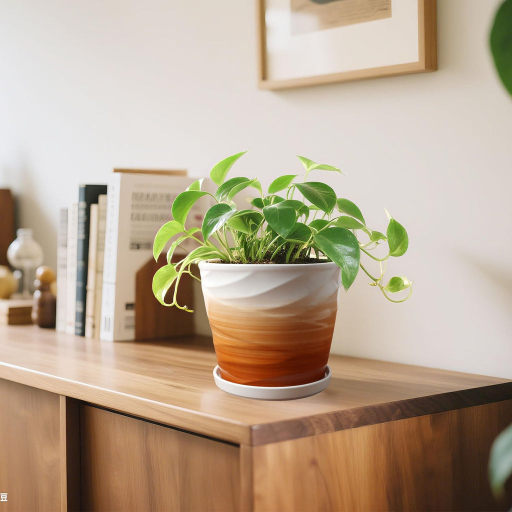 8 Inch Plant Pot, Ceramic Planter with Drainage and Saucer,Ceramic Planters for Indoor Plants, 8 Inch Garden pots(Khaki