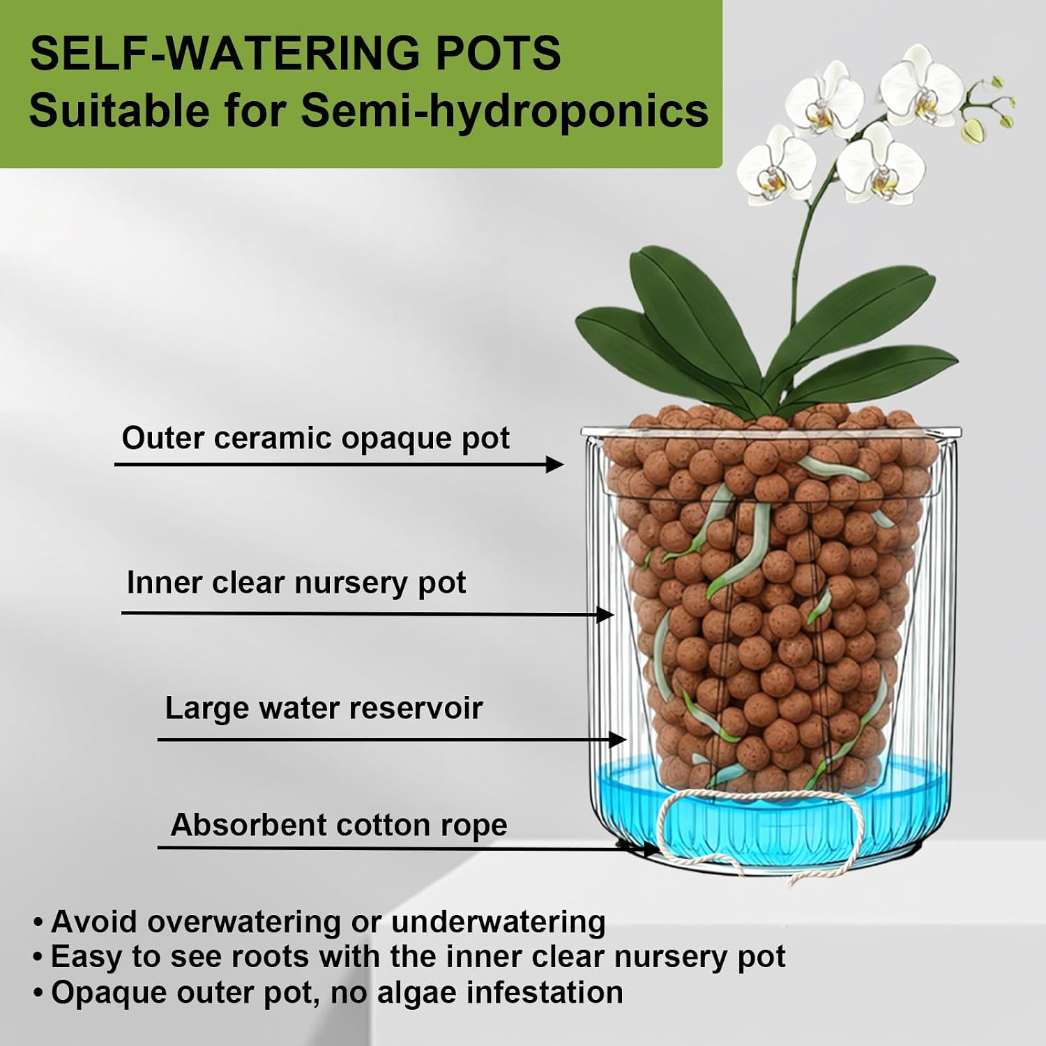 Ceramic Orchid Pot, Clear Nursery Pot & self Watering,5 inch,Black | Dual-Pot System,Root Visibility,Flexible Use for