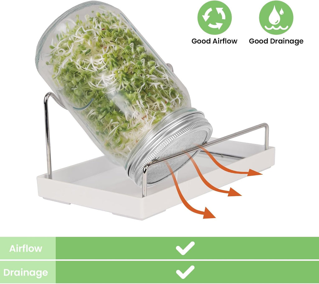 Seed Sprouting Jar Kit, 2 Wide Mouth Quart Mason Jars with Stainless Steel Screen Sprout Lids, Drip Tray, Stand