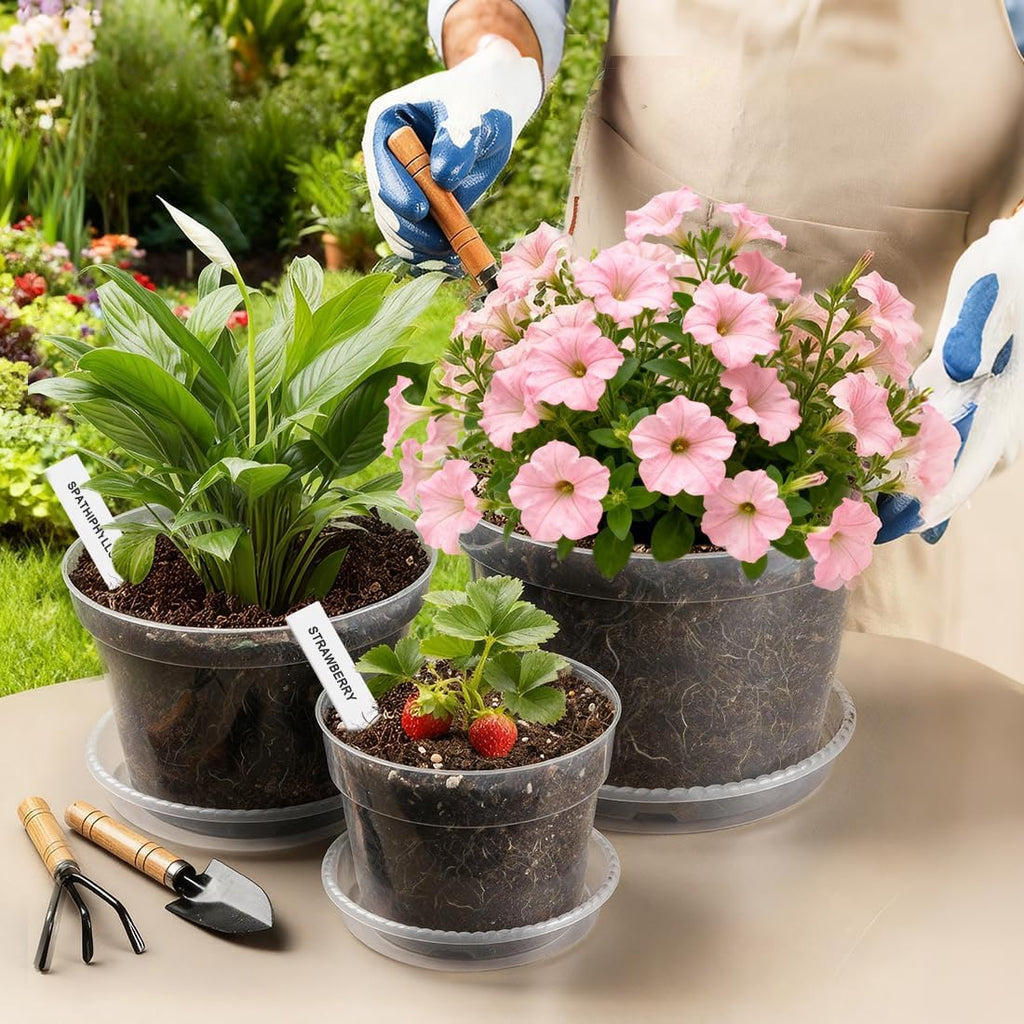 10/8/6 Inch Clear Plant Pots with Drainage Hole 12 Pack, Transparent Sturdy Plastic Nursery Pots with Saucers, Plant