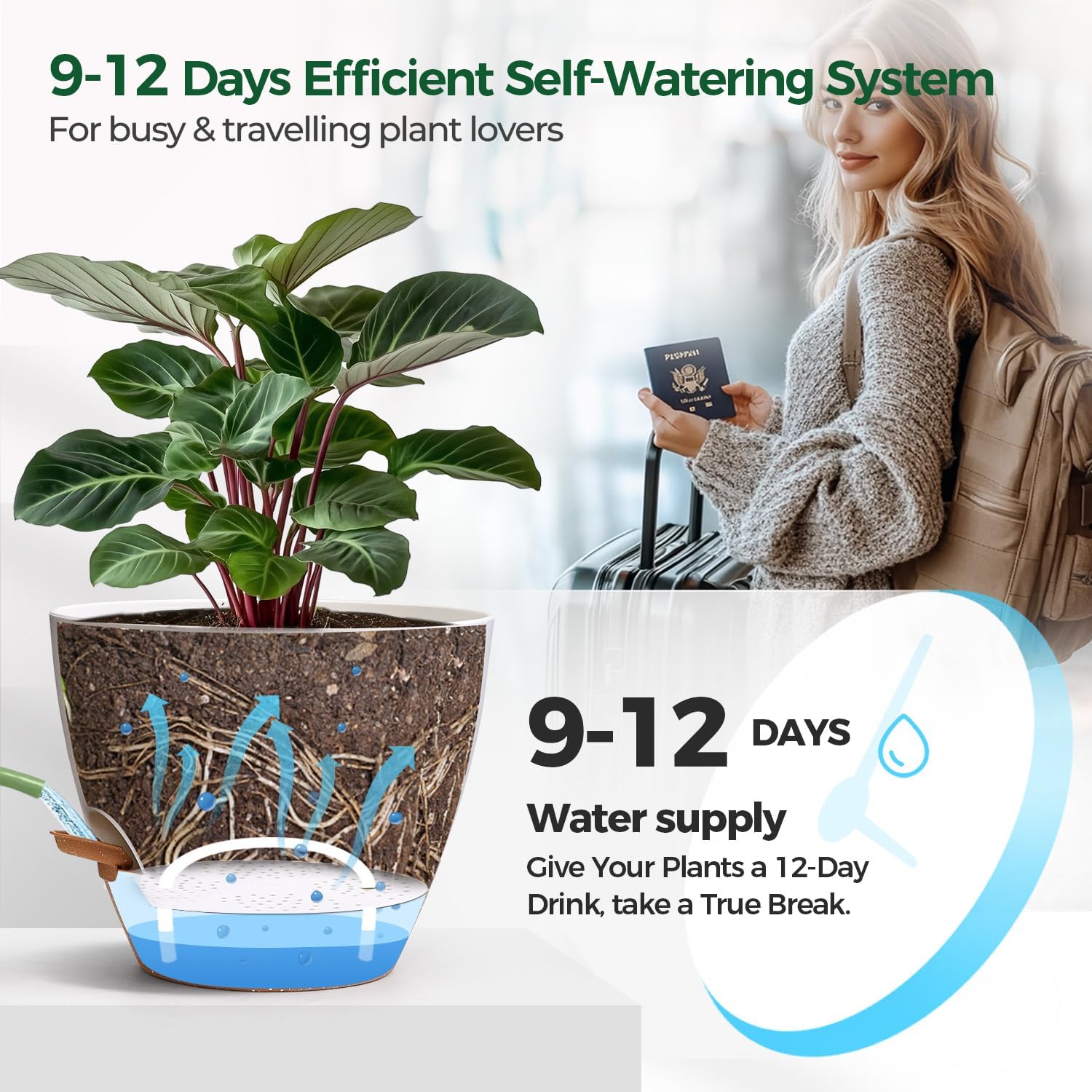 T4U Self Watering Pots for Indoor Plants, 8-12 Inch, 3 Pack, White | Visible water level window, Pothos and monstera
