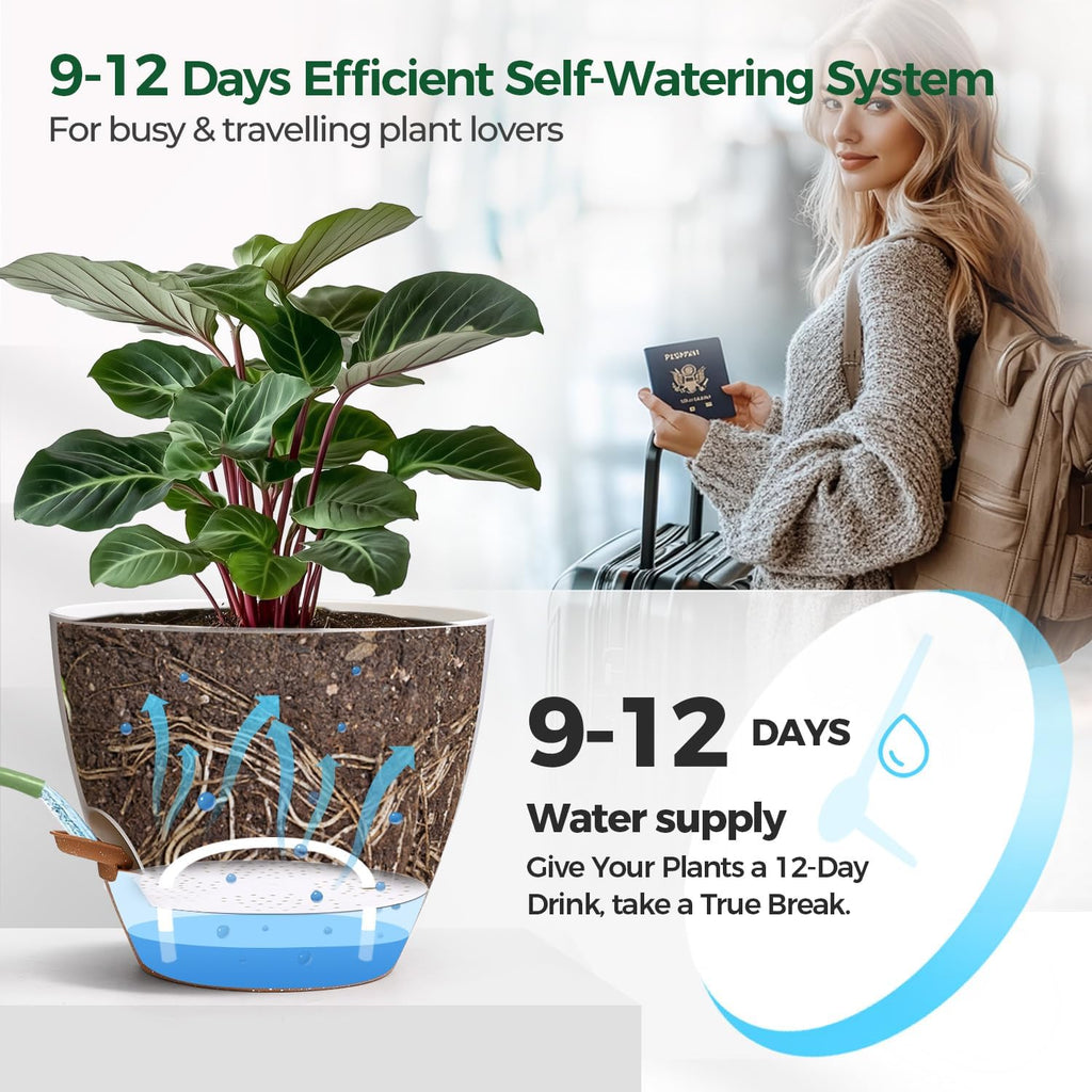 T4U Self Watering Pot for Indoor Plants, 12 Inch, Water Indicator, White | Visible water level window, Monstera and