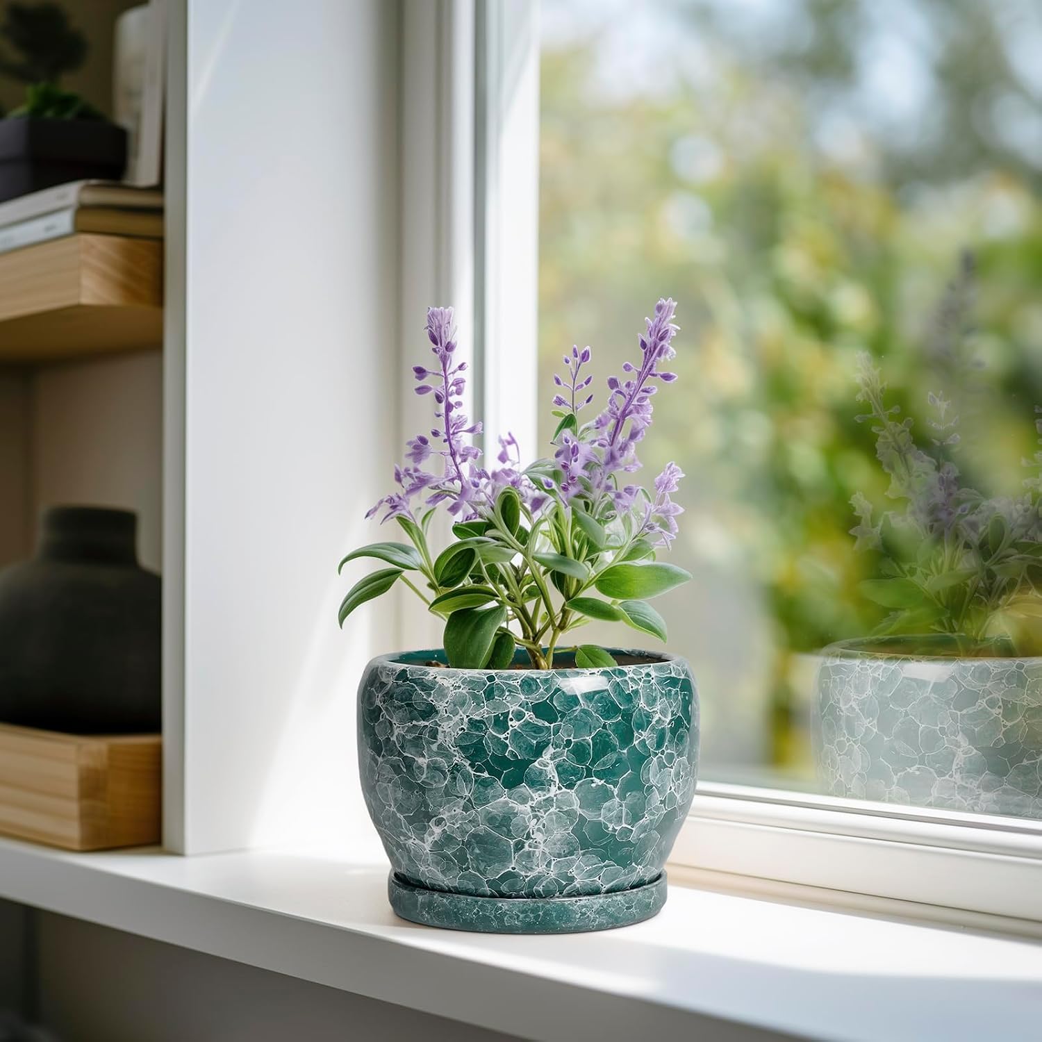 SQOWL Ceramic Pot for Plants - 6 Inch Ceramic Planter with Drainage Hole and Saucer, Round Flower Pot for Indoor
