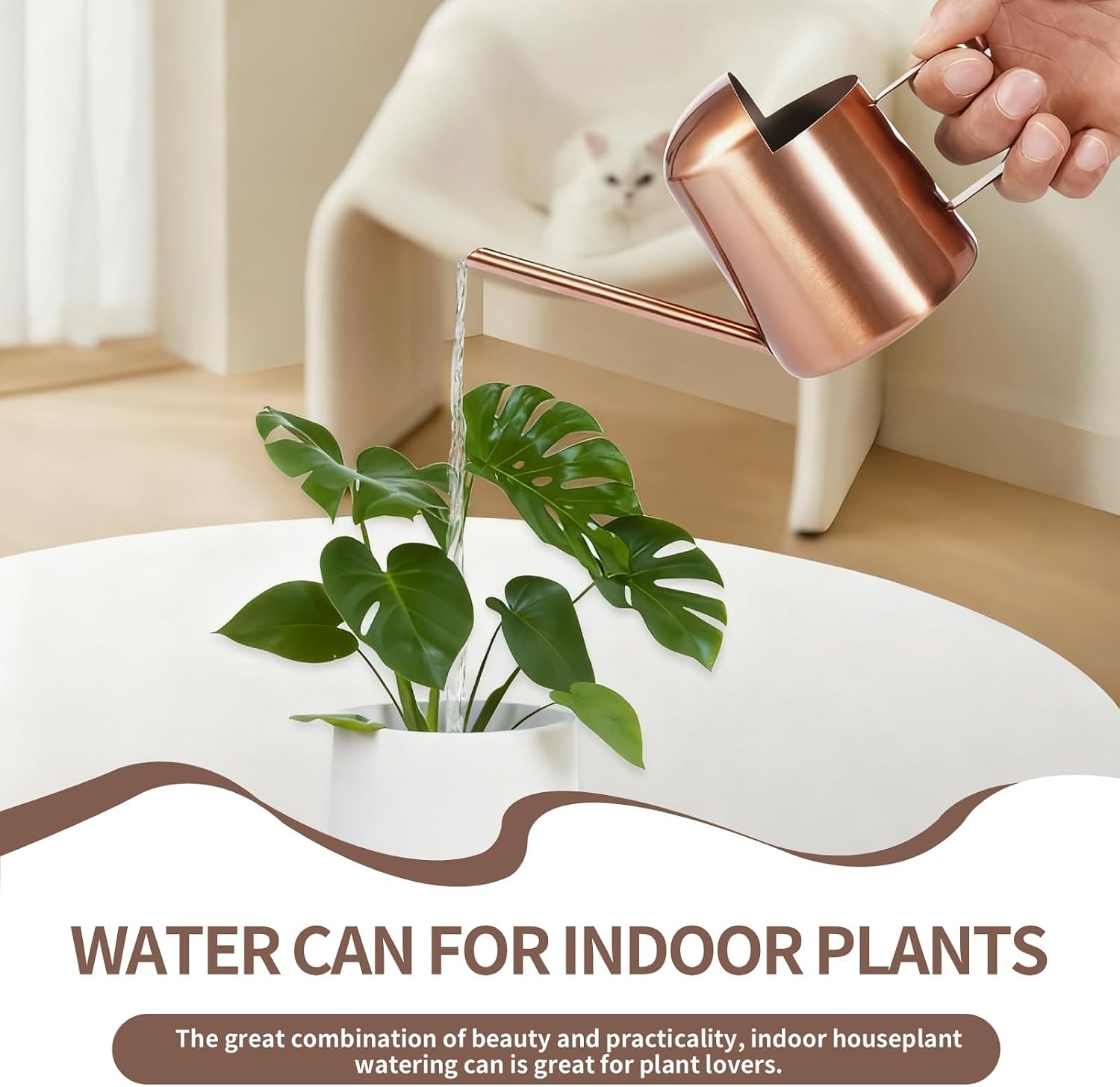 10oz/300ml Watering Can Indoor Plants, Long Spout Small Watering Sprinkling Pot Mini Stainless Steel Water Can Garden