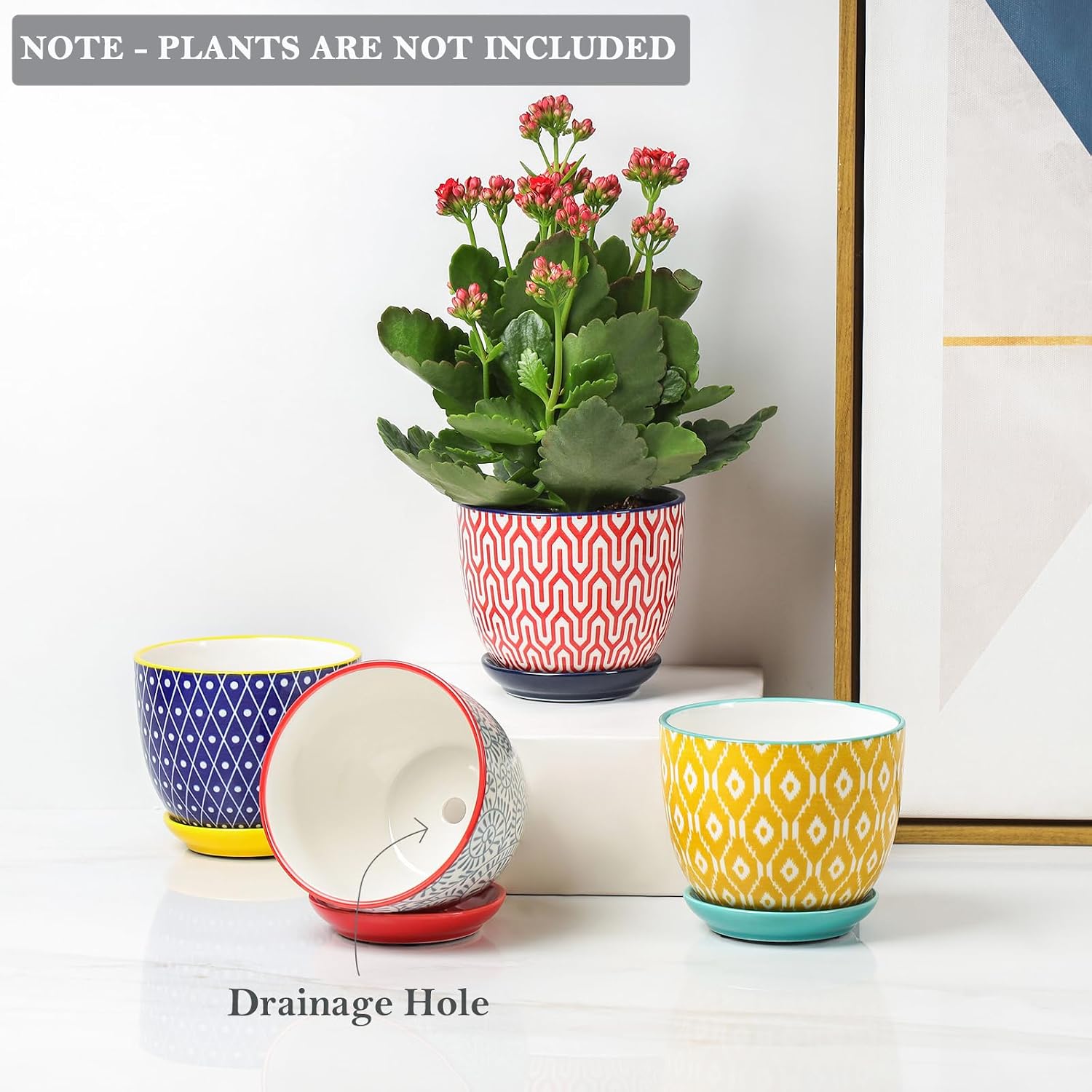 Selamica Ceramic Plant Pots, 4.6 Inch Flower Pots for Indoor Plants, Succulent Pots with Drainage Hole & Saucer