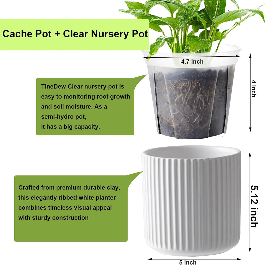 Orchid Pot,Ceramic Plant Pot with Clear Pot,5 inch,White,2pack | self watering,Dual-Pot System,Root Visibility,Flexible