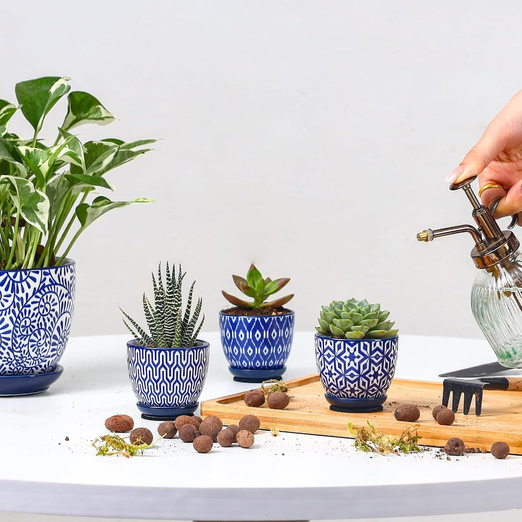 Selamica Ceramic 2.4 Inch Succulent Pots, Mini Succulent Planter Pot for Cactus Plant with Drainage Holes & Saucers