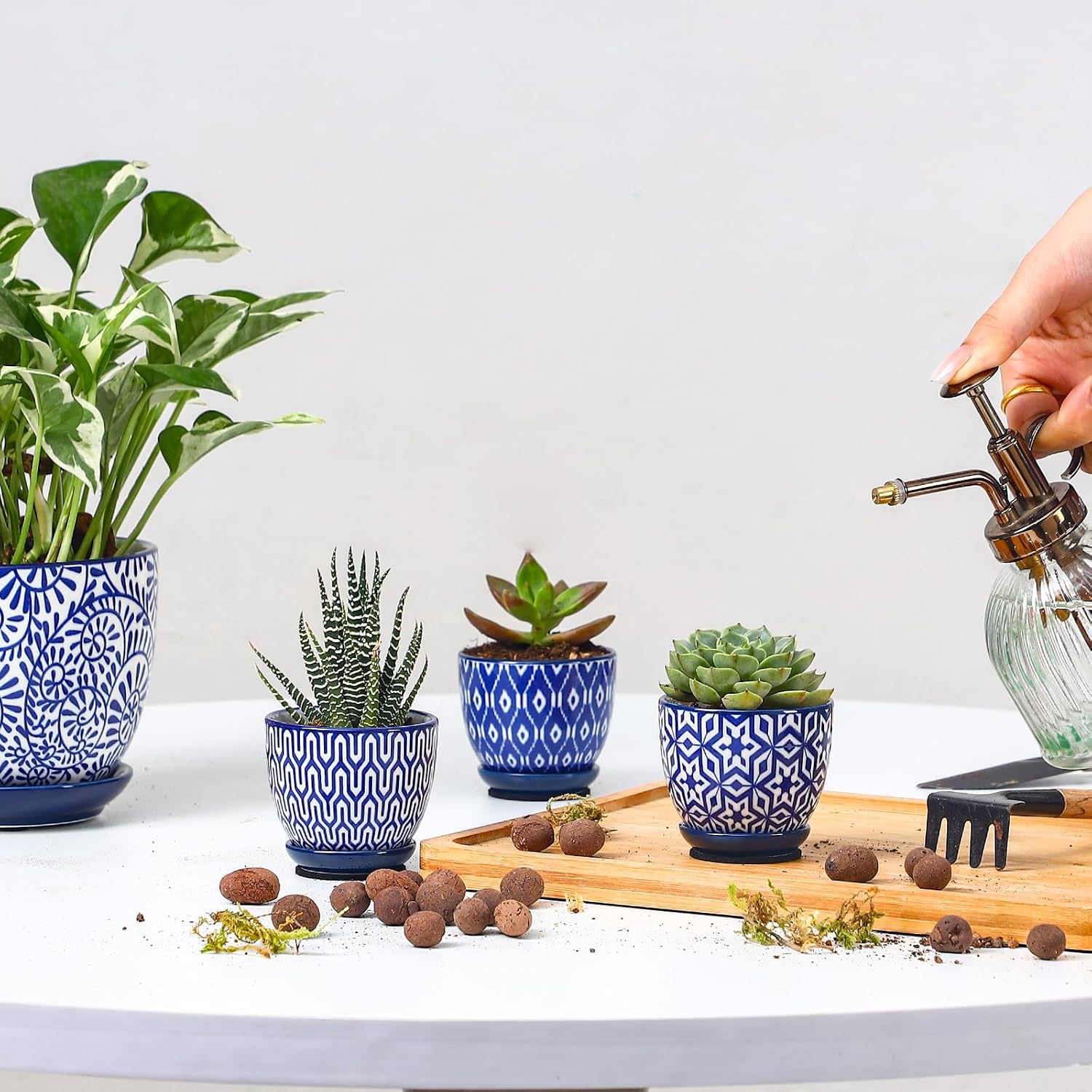 Selamica Ceramic 2.4 Inch Succulent Pots, Mini Succulent Planter Pot for Cactus Plant with Drainage Holes & Saucers