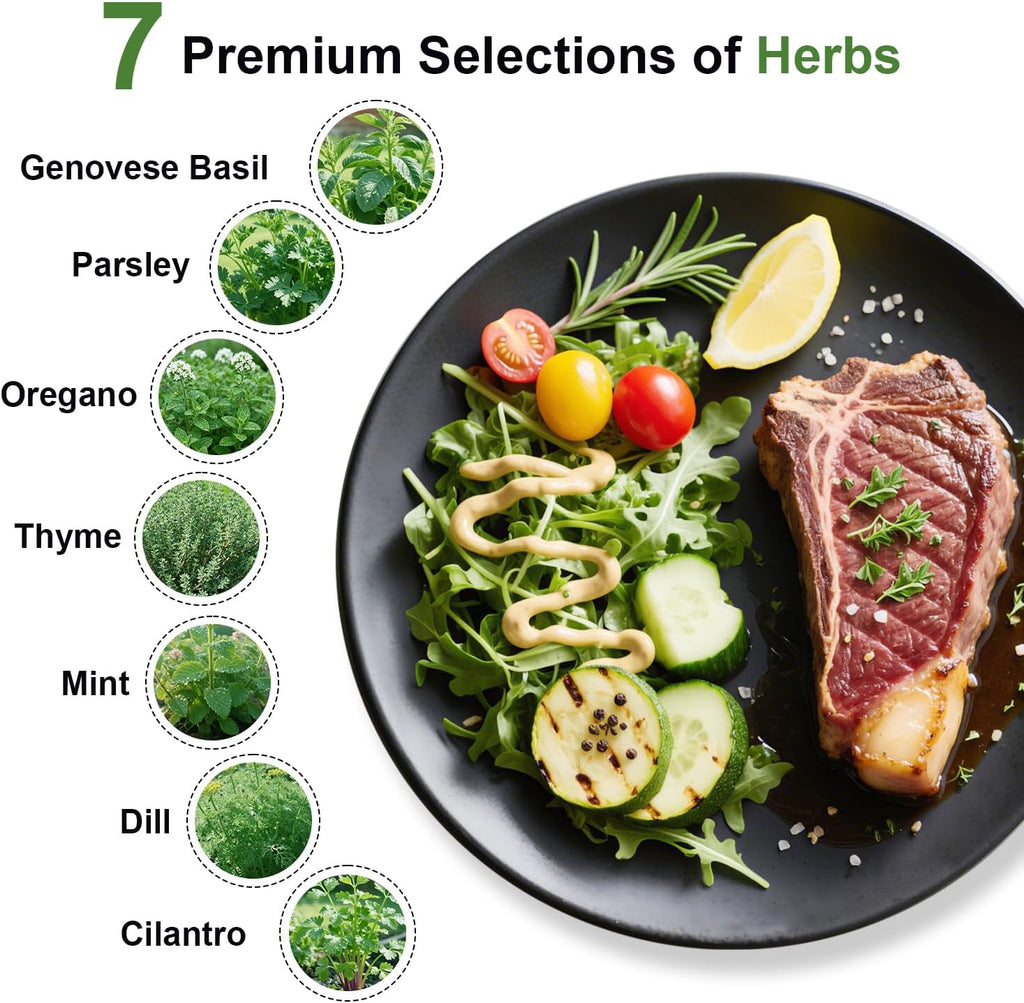 Gourmet Herb Seed Pod Kit for AeroGarden, idoo, Ahopegarden, MUFGA with Basil, Parsley, Thyme, Mint, Cilantro, Dill