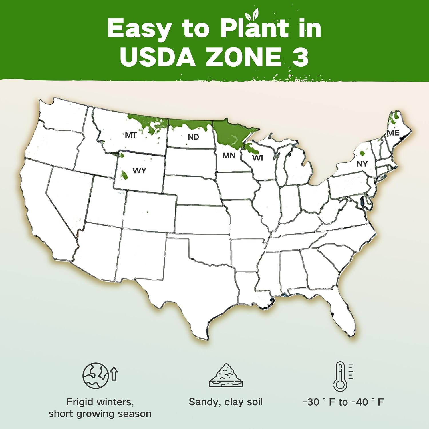USDA Zone 3 Seed Bank, Gardening Gifts for Women Men, 32 Type Non-GMO Seeds | 30,000+ Heirloom Seeds for Planting