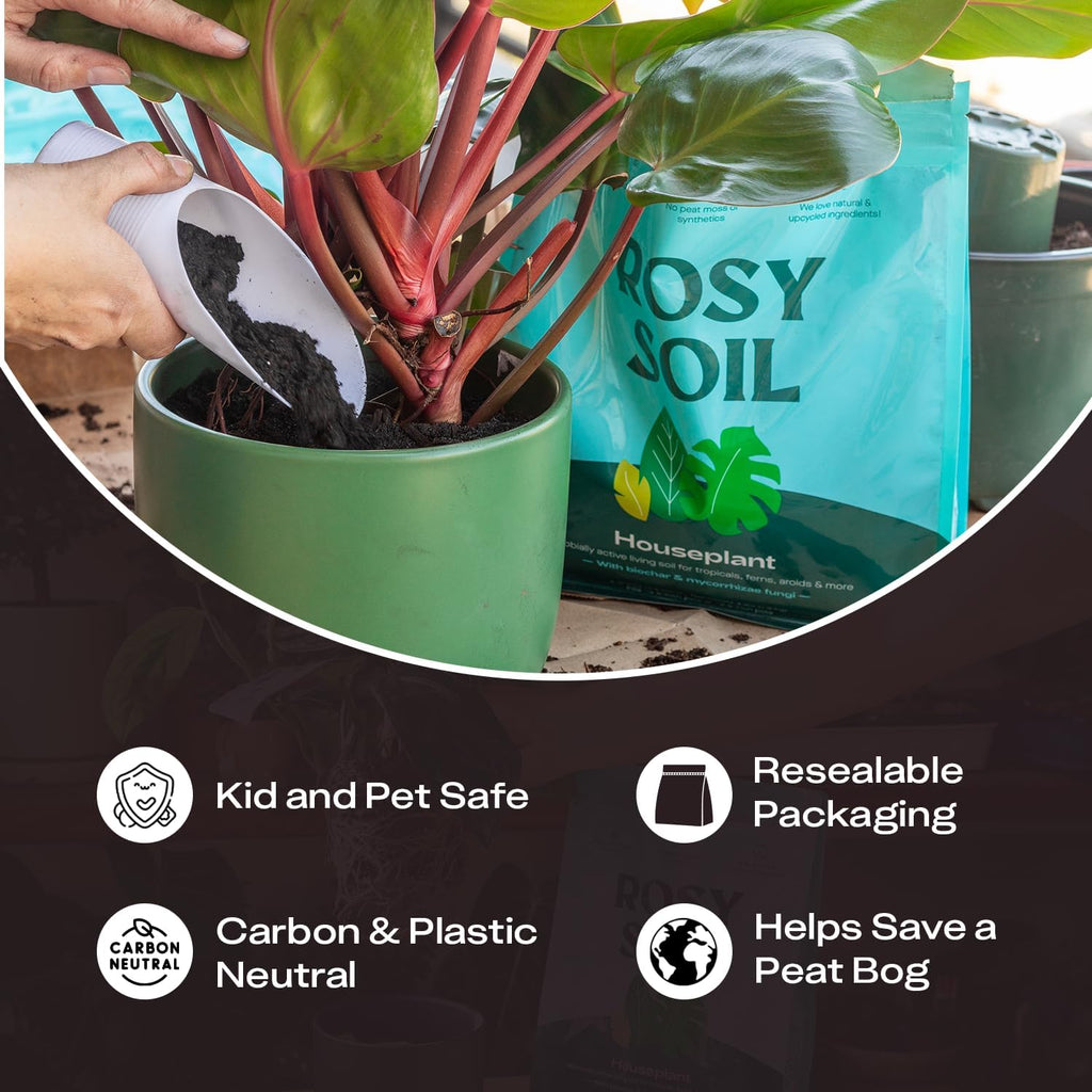 Rosy Soil Houseplant Potting Soil, Organic Indoor Potting Mix, 8 Quarts | Biochar and Worm Castings, For Monstera