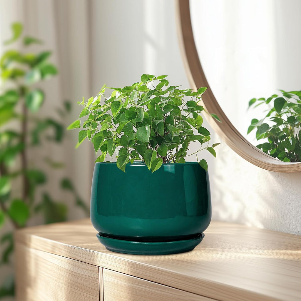 G EPGardening Ceramic Planter for Indoor Plants - 7 Inch Plant Pot, Round Planter with Drainage and Saucer, Round
