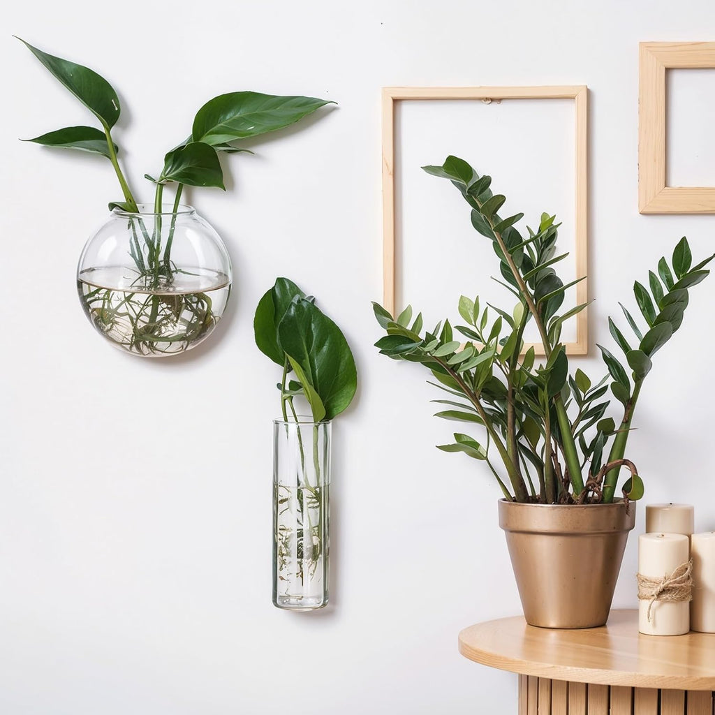 6 Pcs Glass Wall Hanging Vase Indoor Propagation Planter with Hanging Suction Cup and Plastic Invisible Traceless