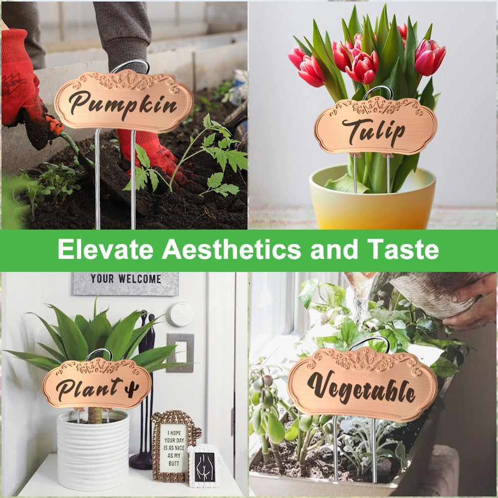 Metal Plant Labels,Tall Outdoor Garden Markers for Flower, Fruit and Vegetable, 304 Stainless Steel Weatherproof Signs