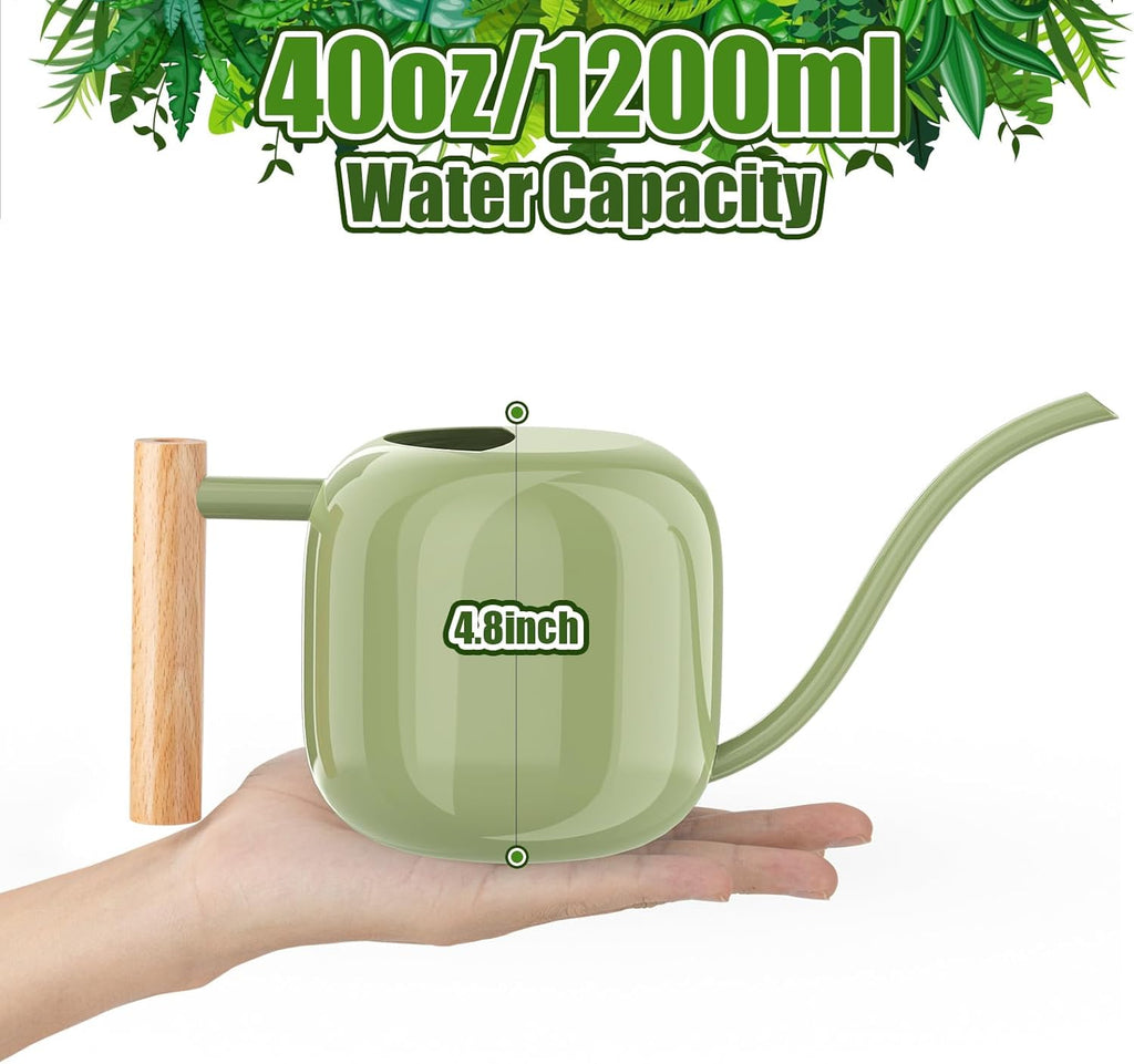 1.2L/41oz Metal Metal Watering Can with Long Spout, Sage Green | Metal Stainless Steel Watering Can for Indoor Plants