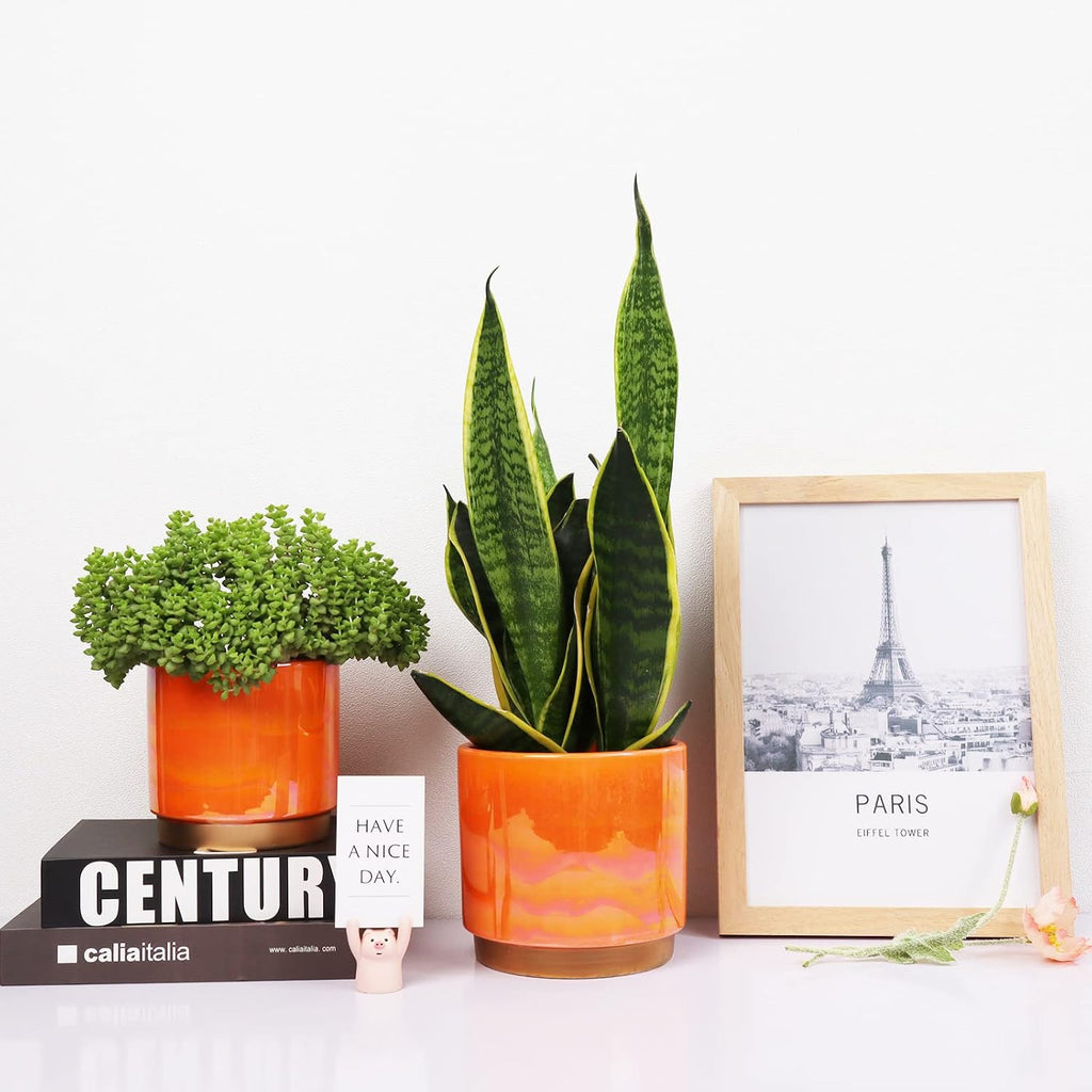 Gepege Ceramic Plant Pots for Indoor Plants, Planters with Drainage Holes | Ceramic Pots with Removable Rubber