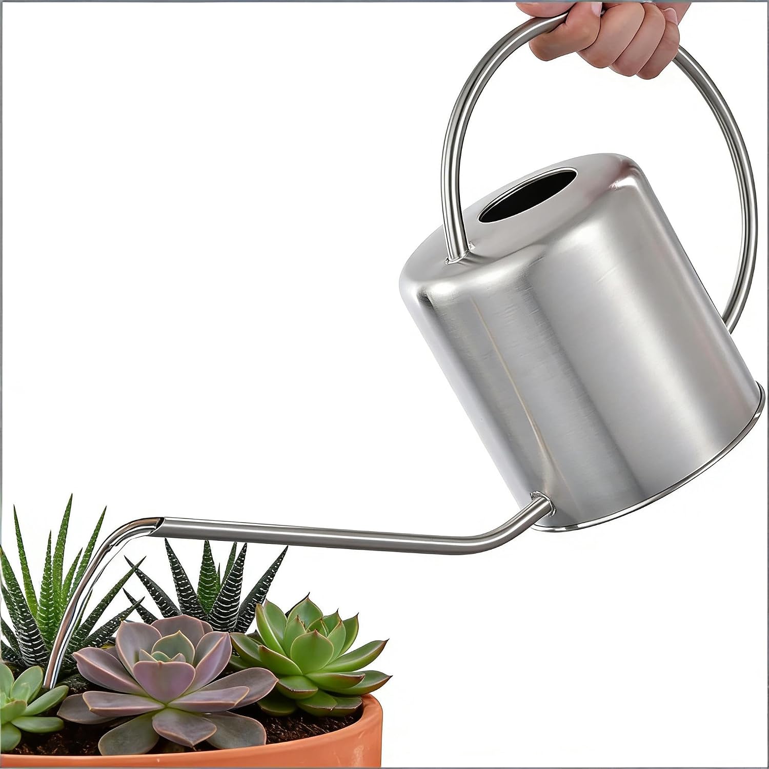 Fasmov 51 Oz Stainless Steel Watering Can Modern Style Watering Pot, Watering Can with Long Spout for Easy Pour, Water