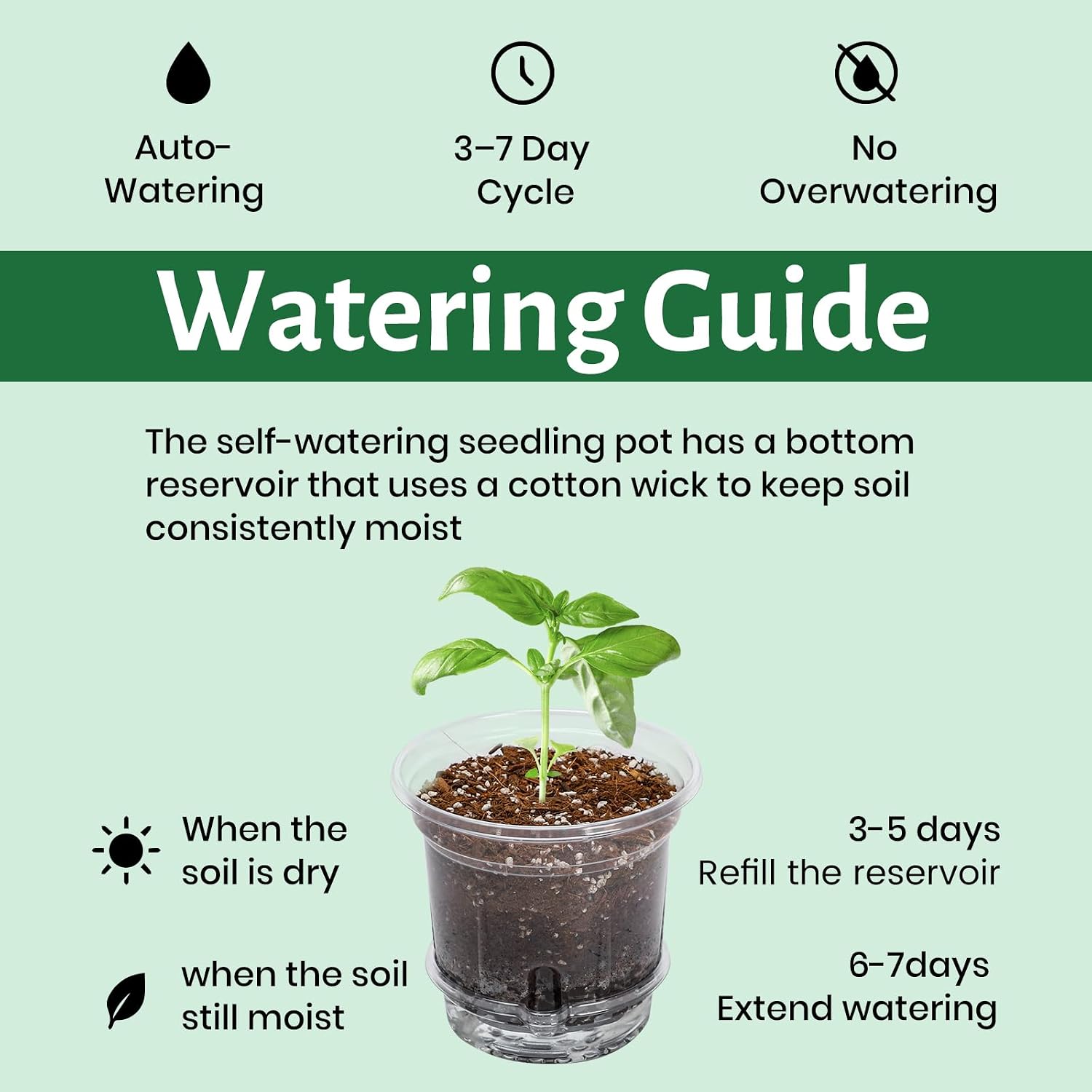 Bluepro Self Watering Pots for Indoor Plants, 4/5/6.5 Inch, 18-Pack | Clear Plastic, 6 Each of Three Sizes, Reservoir