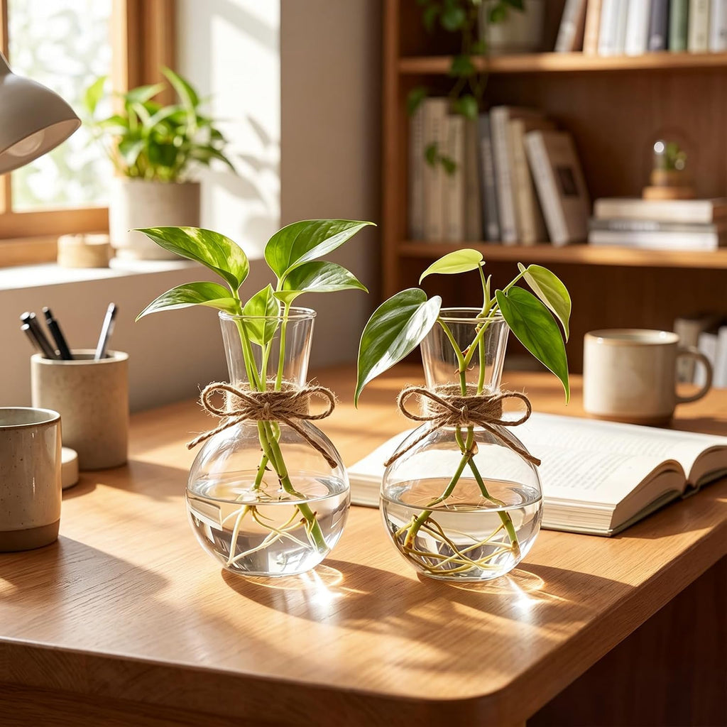 10 Pack Glass Plant Propagation Stations, Plant Terrarium Bulb Glass Propagation Vases with Hemp Rope, Clear
