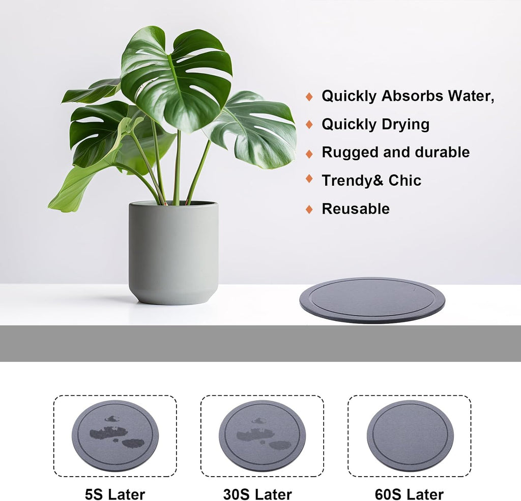 Drydiet 3 Pack Diatomaceous Earth Plant Saucer Set 6/8/10 Inch Quick Dry Absorbent Plants Tray Absorbing Plant Tray for