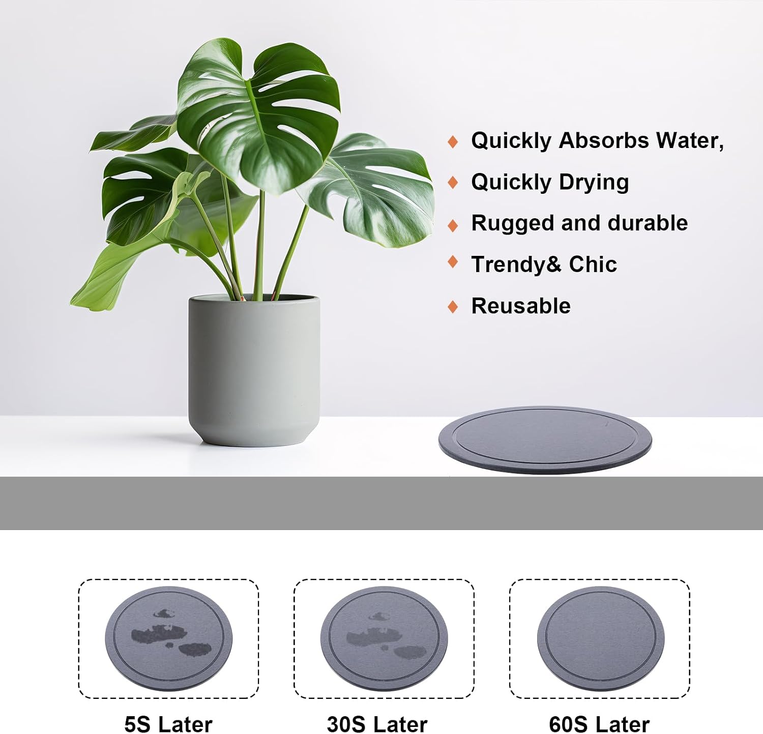 Drydiet 3 Pack Diatomaceous Earth Plant Saucer Set 6/8/10 Inch Quick Dry Absorbent Plants Tray Absorbing Plant Tray for
