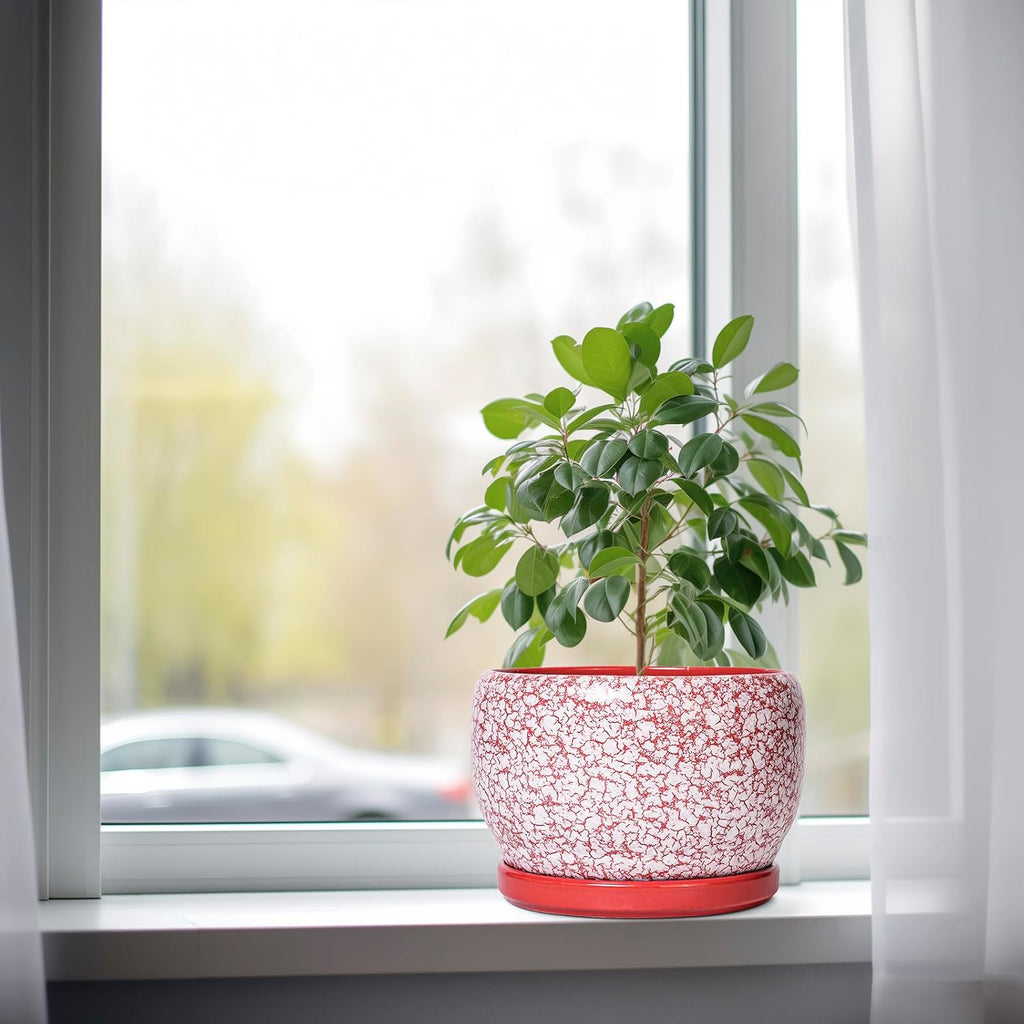 SQOWL Ceramic Pots for Plants - 8 inch Indoor Planter with Drainage Hole and Tray, Ceramic Flower Pot Outdoor, Round