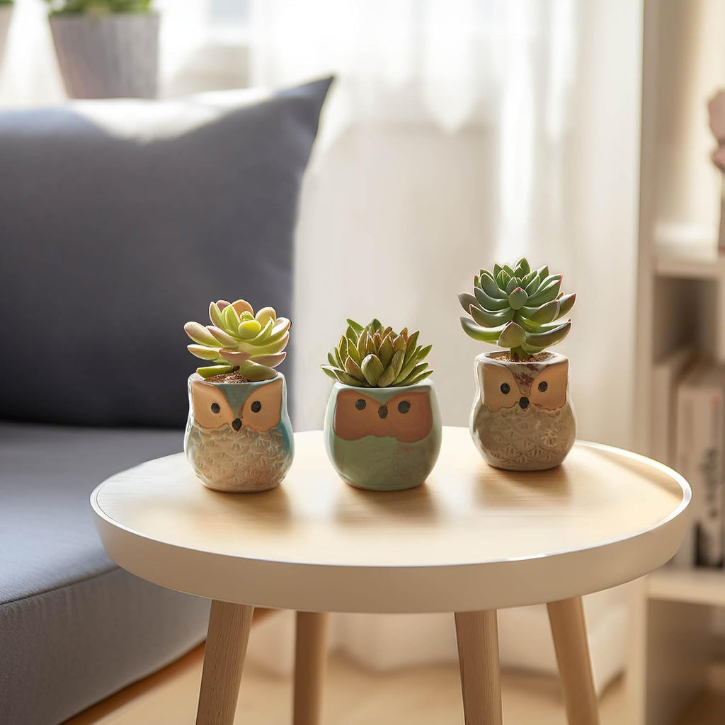 T4U Owl Succulent Pots, Mini Ceramic Gift Planter Set with Drainage 12 Pack | Cute owl design containers, for live