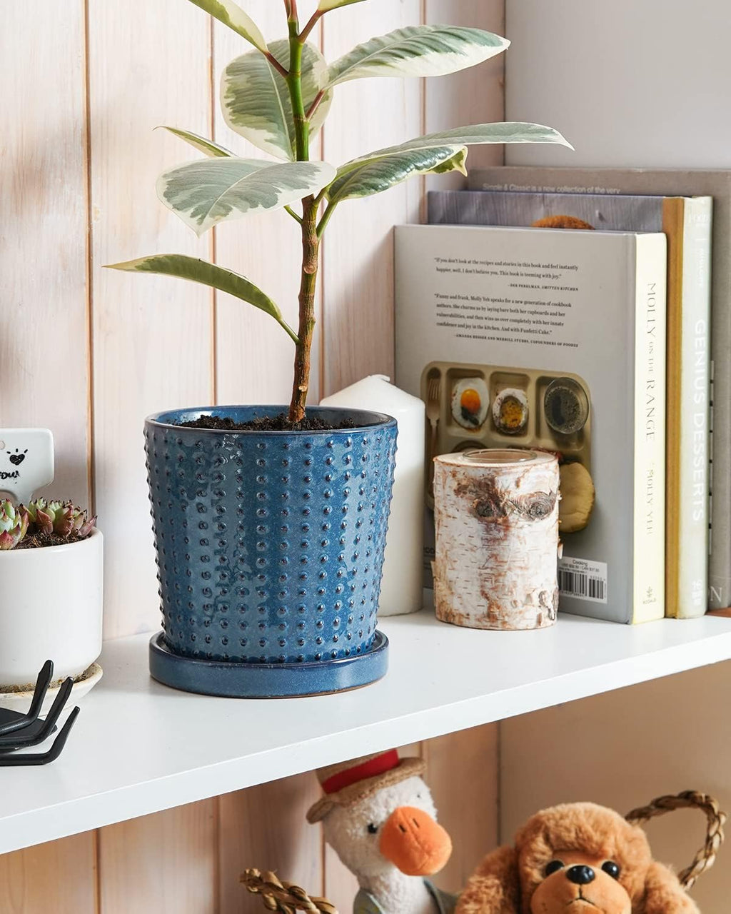 LE TAUCI Ceramic Pots for Plants, 5.5 Inch Plant Pots with Drainage and Saucer, Indoor Plant Pots for Succulents, Snake