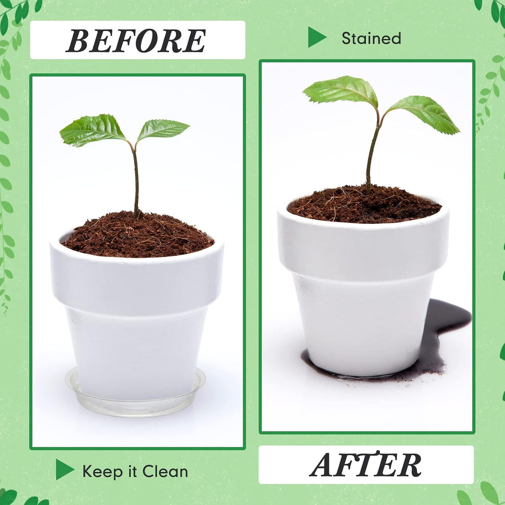 Marsui 50 Pack 4/6/8/10/12 Inch Plant Saucer Clear Plastic Plant Trays | 5 Sizes Fit Pots, Round Waterproof Drip Plate