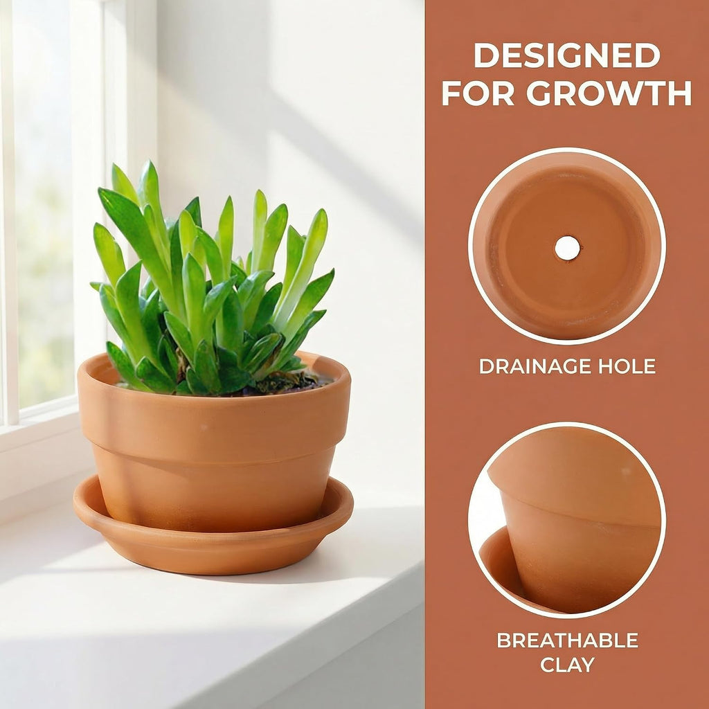 4 Pack Terracotta Pots with Saucer, 6 Inch Large Terra Cotta Plant Pot with Drainage Hole, Clay Flower Planter Pot with