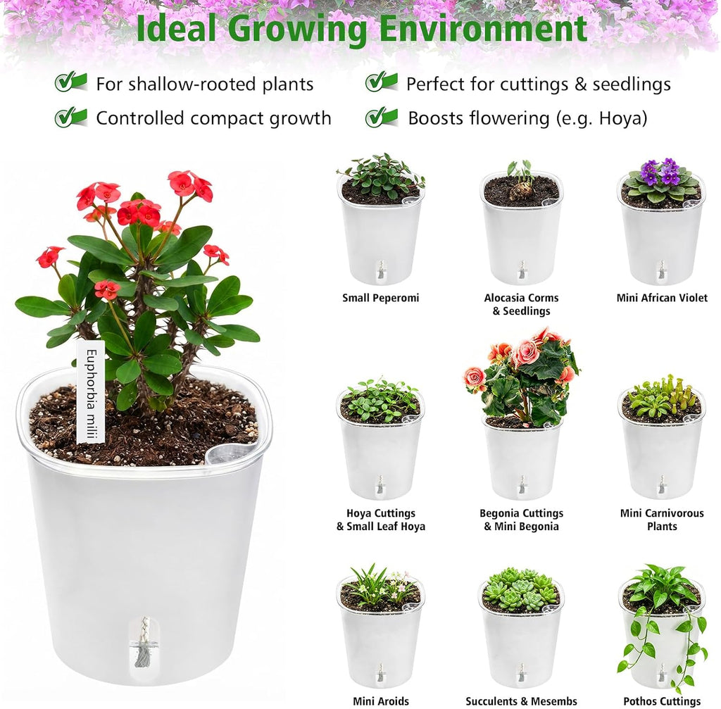 4 Inch Self Watering Pots for Indoor Plants, 10 Pack Clear Nursery Pots with Drainage & Water Level Indicator, Plant