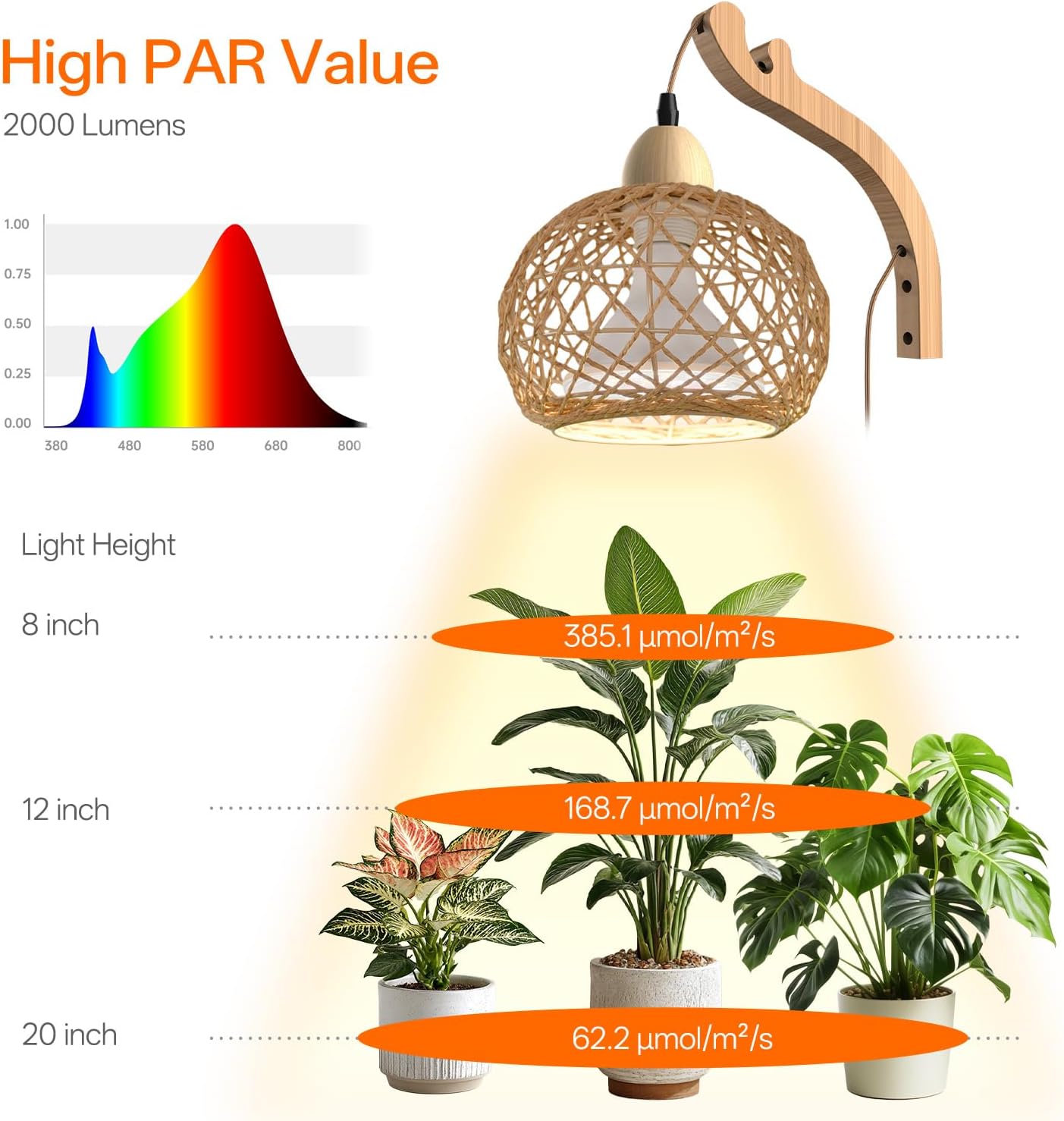 Hanging Grow Lights for Indoor Plants,3800K | 18W Wall-Mounted Decorative Grow Light with Boho Rattan Lantern Shade
