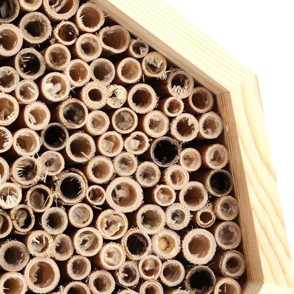 Mason Bee House Wooden Hexagon Bee Habitat Room Hotel Nesting Box Backyard Hanging Decoration
