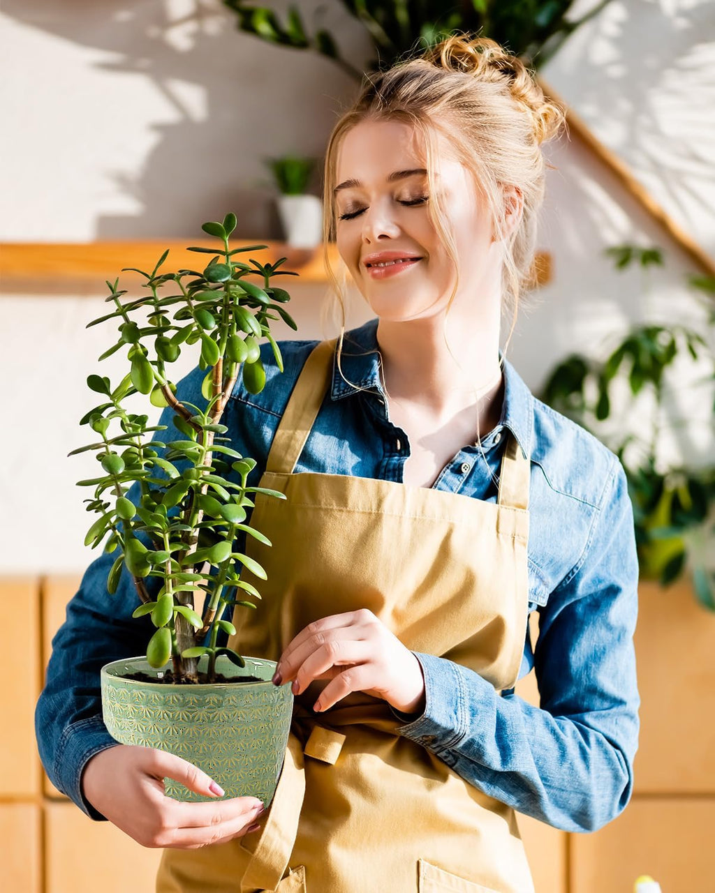 Plant Pots, Flower Pots, Planters for Indoor Plants(6.5+5.5inch), Flower Pots for Indoor Plant with Drainage Hole and