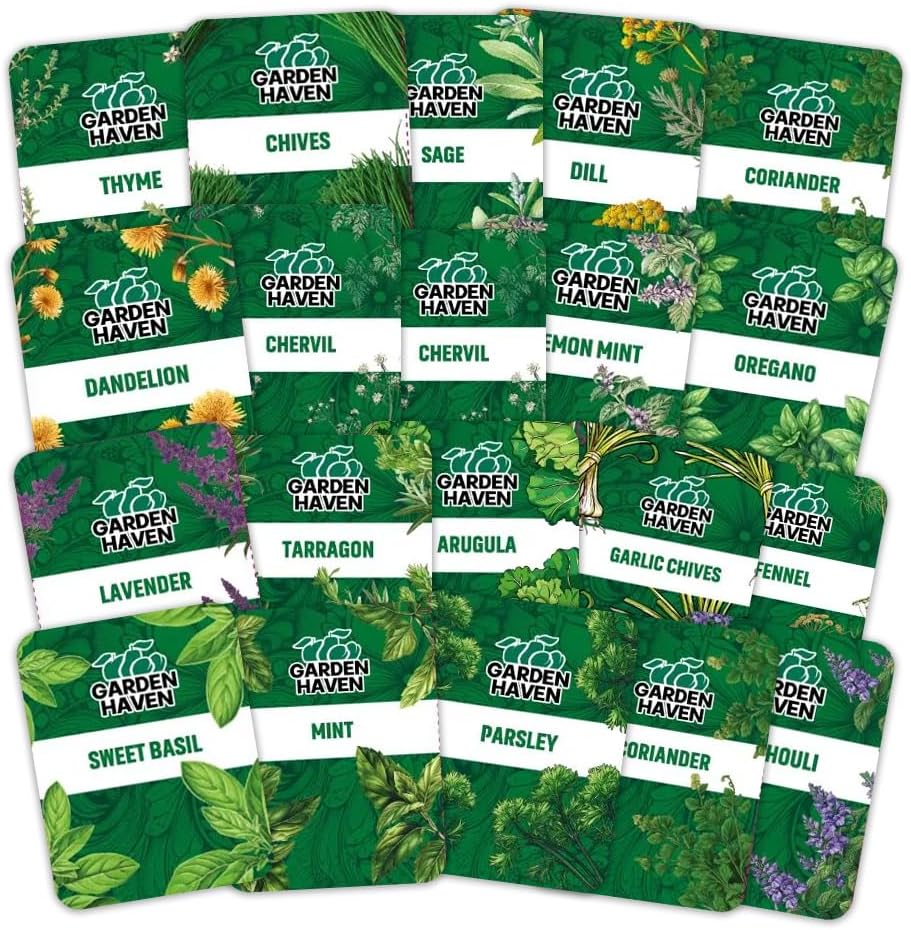 20 HERB Seeds Variety Pack - Complete Grow Kit Culinary Herbs Indoor Outdoors Herb Seeds, Basil, Oregano, Mint, Thyme &