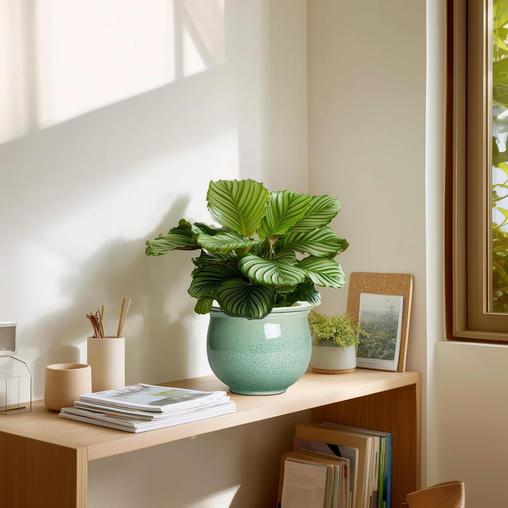 Ceramic Self Watering Pots, 6 Inch African Violet Pots with Absorbent Inner Pot, Round Self Watering Planter for Indoor