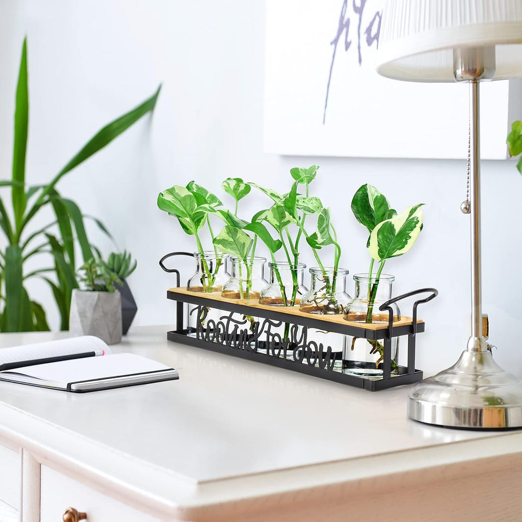 Plant Propagation Station "Rooting for You" Hydroponic Planter Vase | 5 Glass Propagation Jars with "Rooting for You"