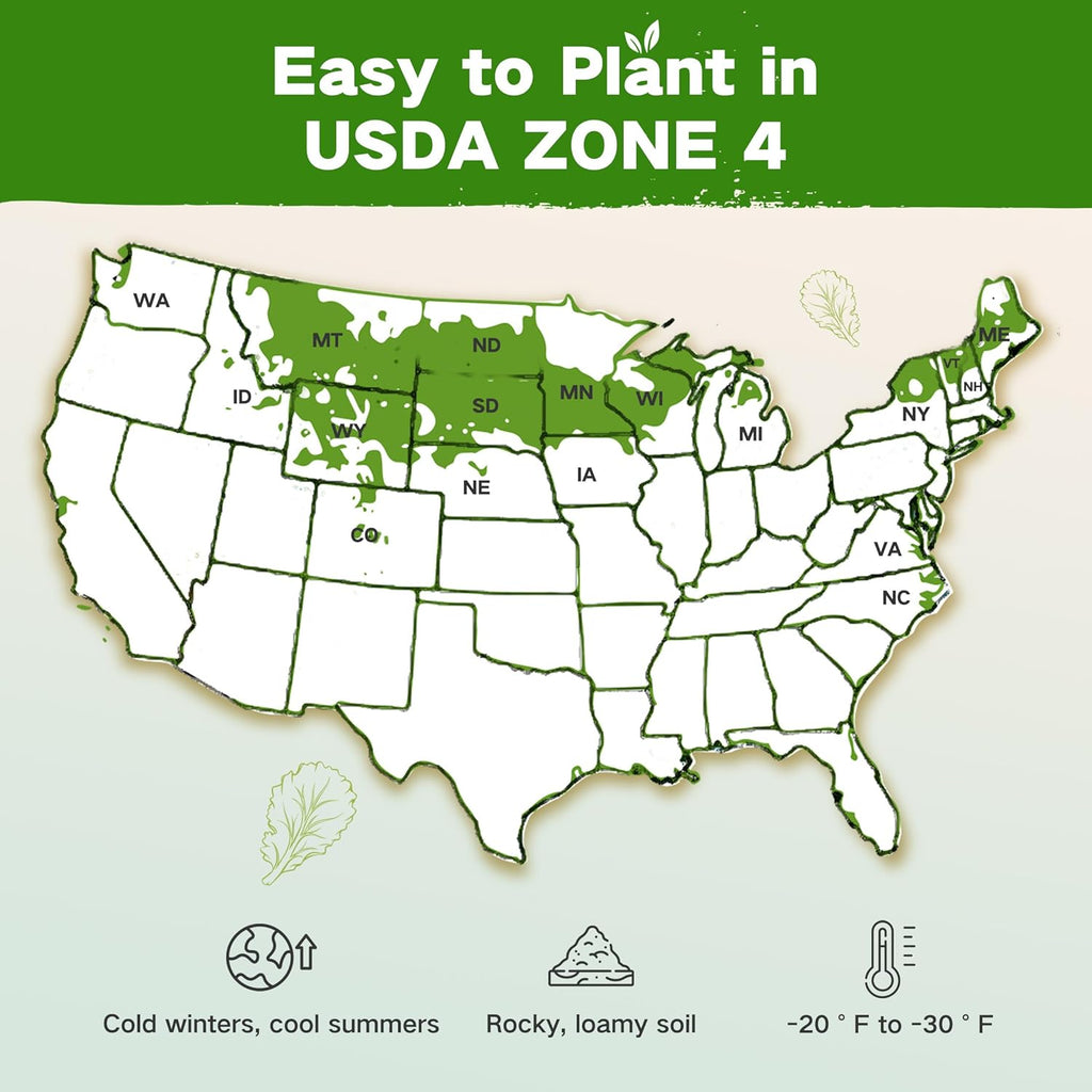 USDA Zone 4 Seed Bank, 32 Varieties Non-GMO Heirloom Vegetable Herb Seeds | Gardening Gifts for Women Men, Emergency