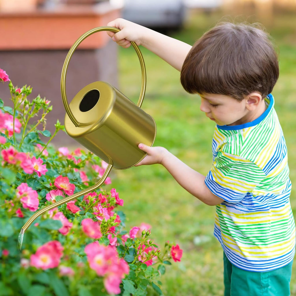 Plant Watering Can, 50 oz / 1500 ml Stainless Steel Metal - Modern Decorative with Long Spout for Indoor Potted Plants