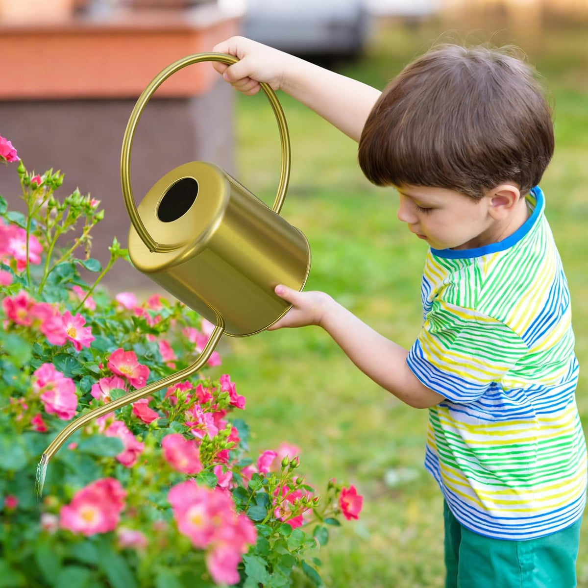 Plant Watering Can, 50 oz / 1500 ml Stainless Steel Metal - Modern Decorative with Long Spout for Indoor Potted Plants