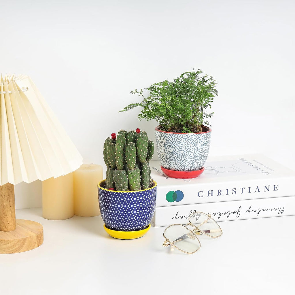 Selamica Ceramic Succulent Pots, 4.6 Inch Small Plant Pots with Drainage Holes & Saucers, Succulent Planters for Indoor