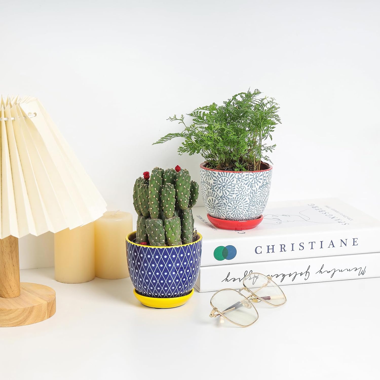Selamica Ceramic Succulent Pots, 4.6 Inch Small Plant Pots with Drainage Holes & Saucers, Succulent Planters for Indoor