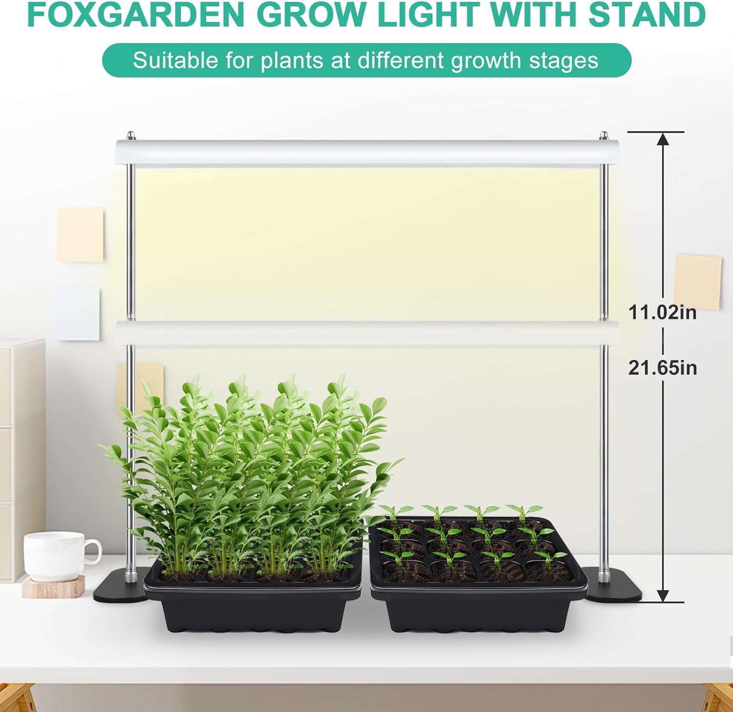 FOXGARDEN Grow Light Stand, Advanced LED Plant Growth Lighting with 4/8/12H Timer, 6 Dimming Options, and Adjustable