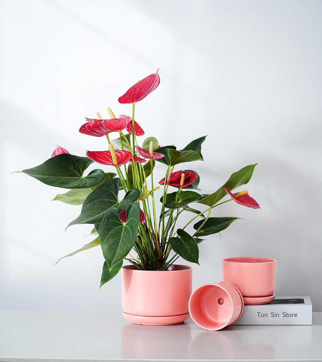 Ceramic Plant Pots,Planters with Drainage Hole&Saucer 3 Pack(Matte Orange) | Ceramic Pots for Plants | Modern Indoor