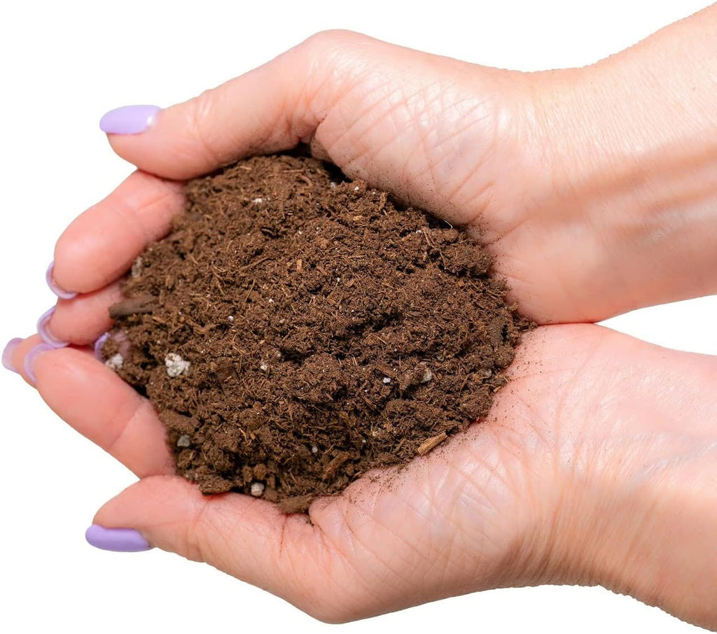 Premium Monstera Potting Soil - Quick Drain Potting Soil for Growing and Repotting Monstera Deliciosa/Swiss Cheese