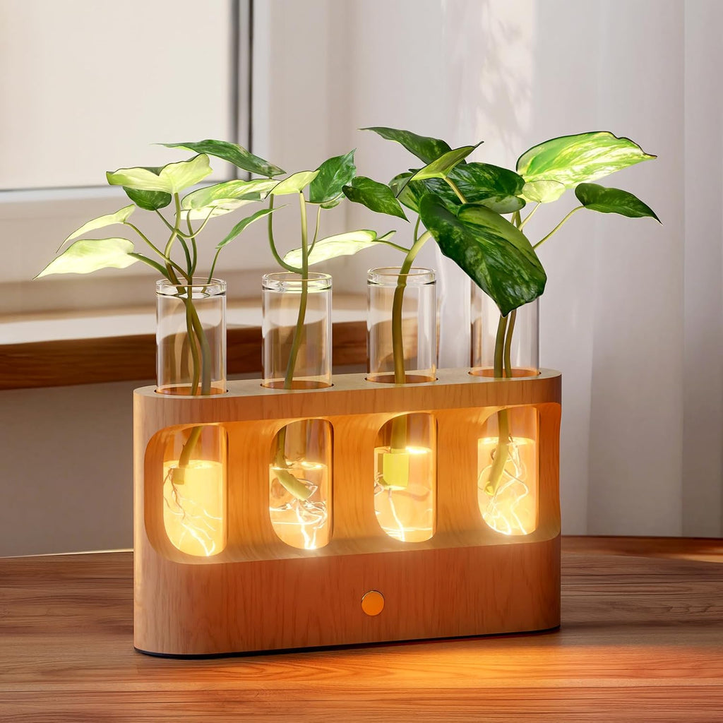 Lightalent Rechargeable Plant Propagation Station, LED Hydroponic Terrarium | Wooden Stand with 4 Glass Tubes and