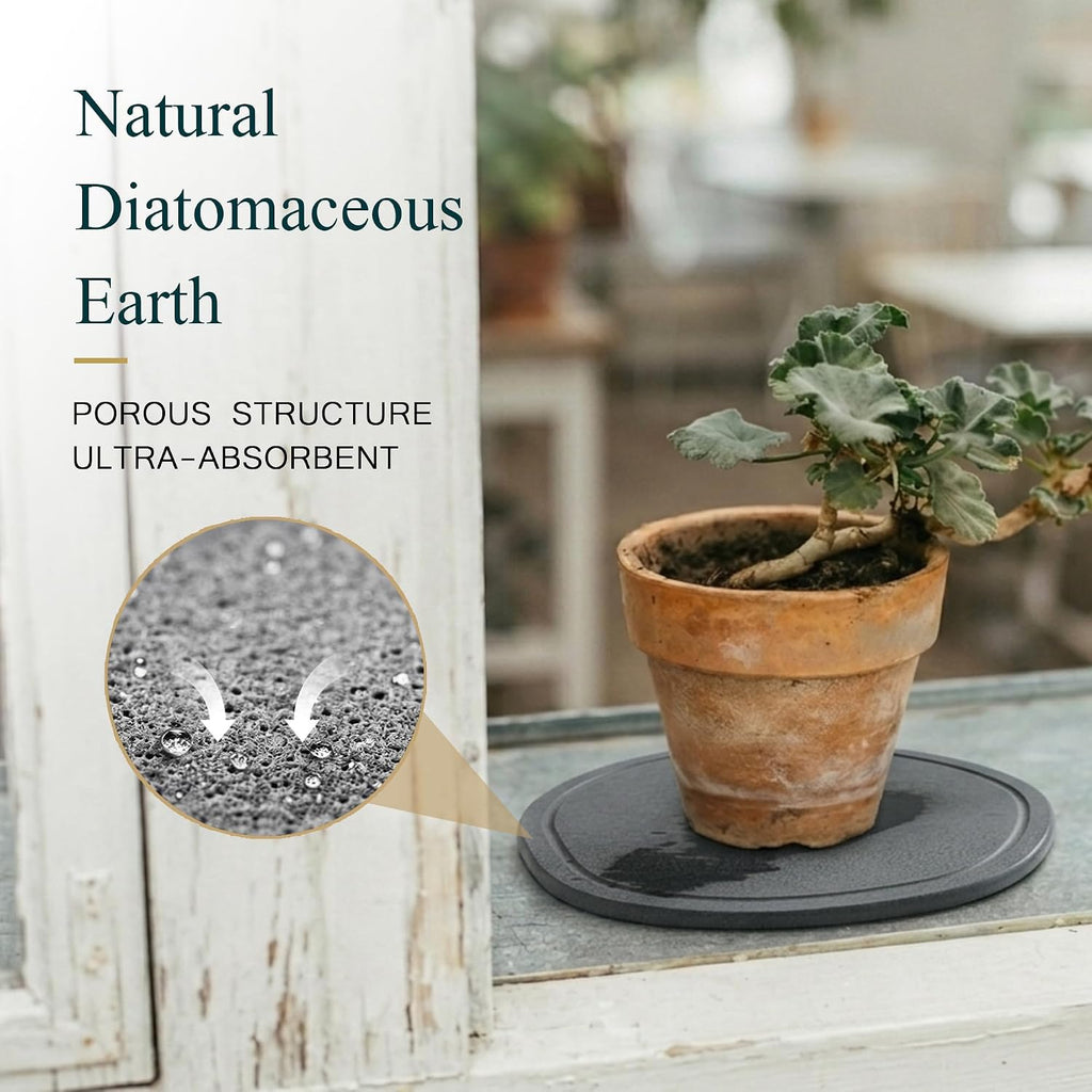 8 Inch 6 Pack Diatomite Plant Trays to Catch Water, Plant Pot Saucers | XRzitky Quick Absorbent and Dry Water Catcher